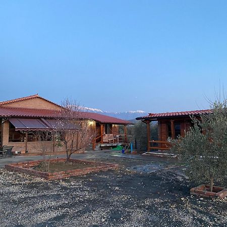 Vila Mario Берат Экстерьер фото